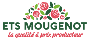 logo accueil03 mobile e1776691318179