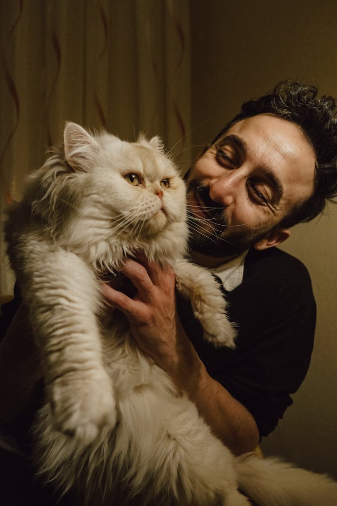 metys clinique vétérinaire homme chat